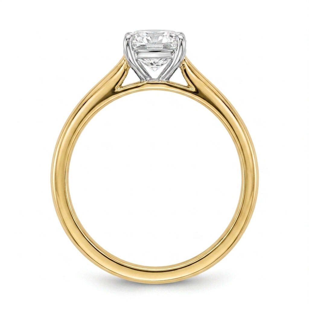 RM12842-100C-LD Cushion solitaire engagement ring side-profile