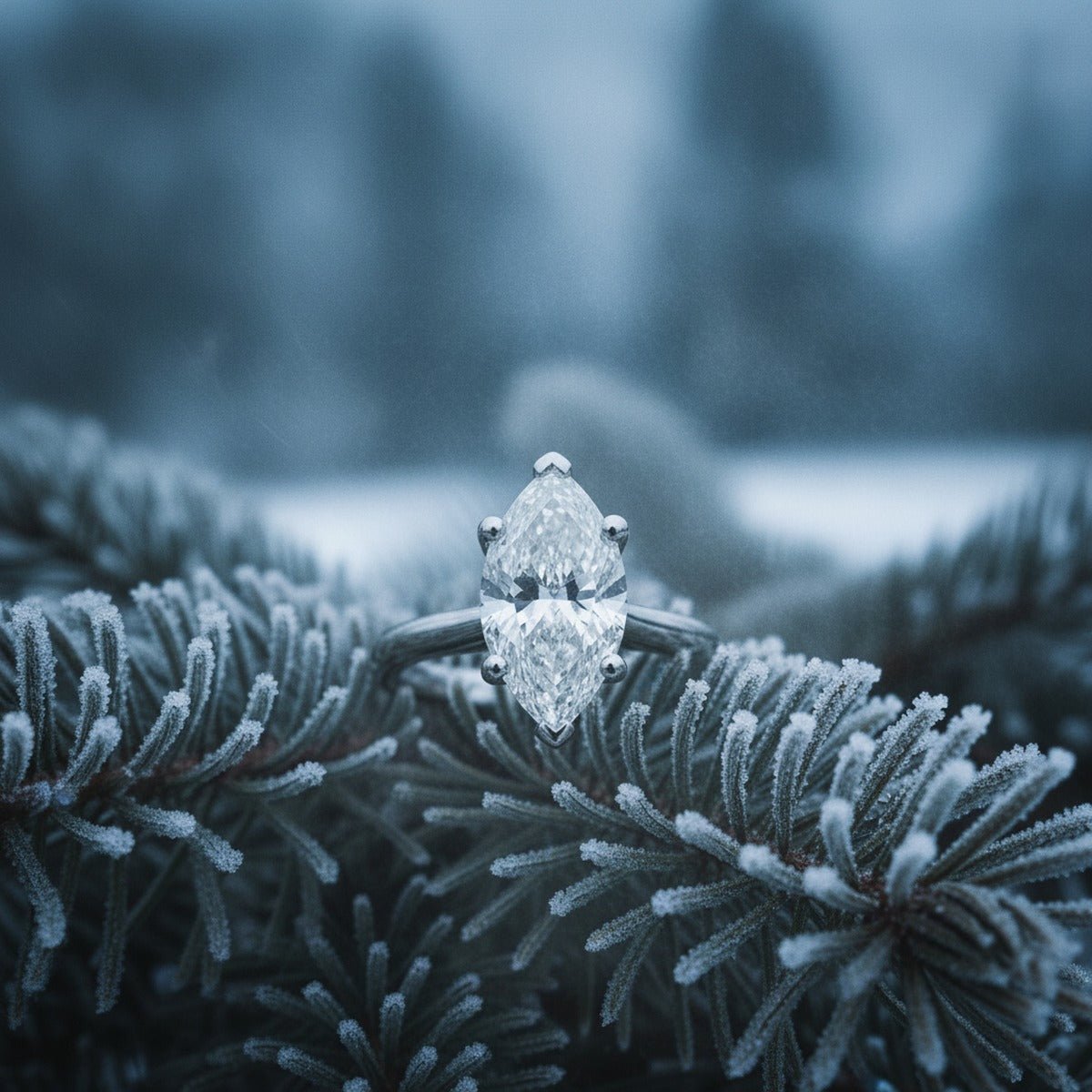 Aydins 3 Carat Marquise Lab Grown Diamond Engagement Ring | 14K White Gold lifestyle scene, evergreen frost