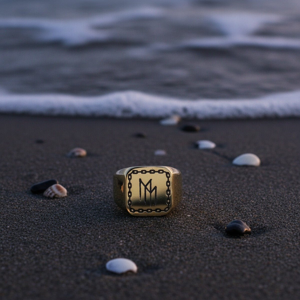 Aydins BRANDMARK | Custom Logo Laser Engraved Signet Ring Gold Silver Black lifestyle scene, saltwater tide