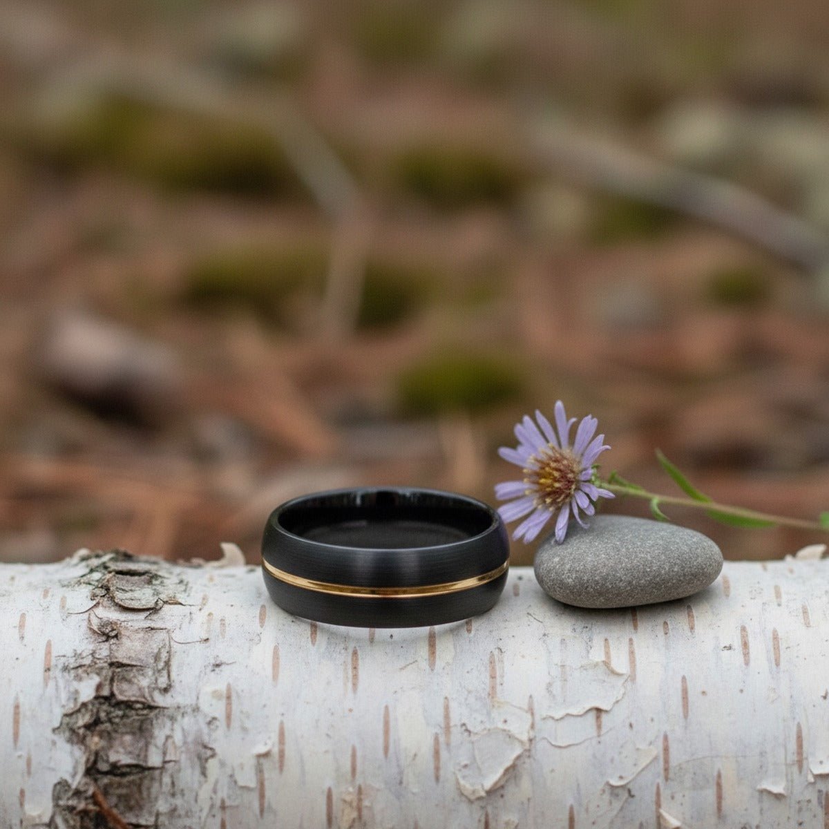 Aydins JAKUB | Black Ring, Black Tungsten Ring, Gold Groove, Domed lifestyle scene, river birch bark