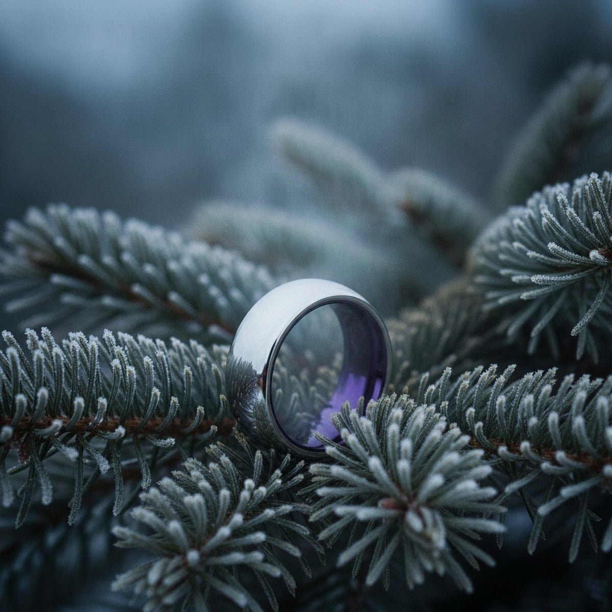 Aydins VIOLA | Purple Ring, Silver Tungsten Ring, Shiny, Domed lifestyle scene, evergreen frost
